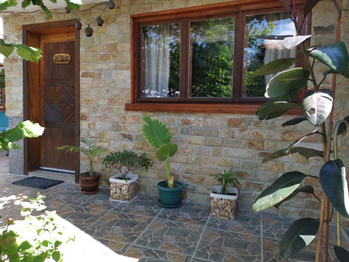 Guest House Milka Iagodina Exterior foto